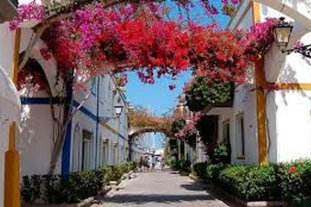 Mogán Casa Apolo 빌라 외부 사진